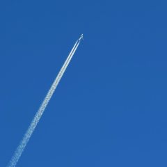 コロナ禍での独り言